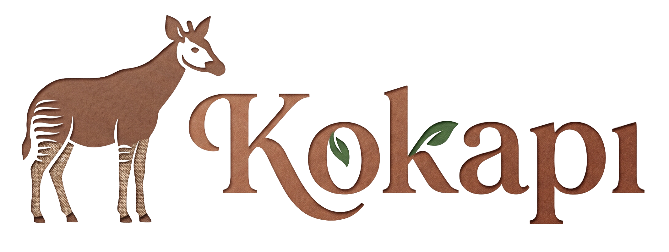Kokapi Logo